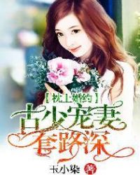 ����С˵:���ϻ�Լ�����ٳ�����·��