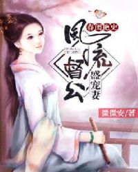 ����С˵:������ʷ����������ʢ����