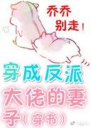 ����С˵:���ɷ��ɴ��е����ӣ����飩