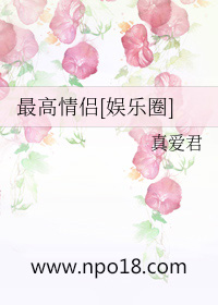 ����С˵:�������