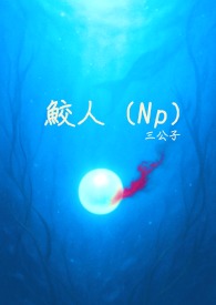 ����С˵:���ˣ�Np����棩