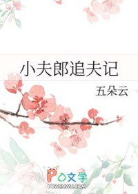 ����С˵:С����׷���