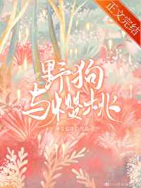 ����С˵:Ұ����ӣ��