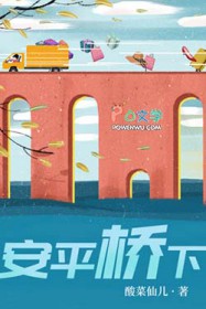 ����С˵:��ƽ����