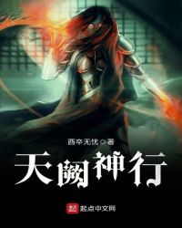 ����С˵:��������