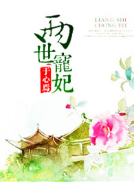 ����С˵:��������