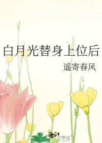 ����С˵:���¹�������λ��