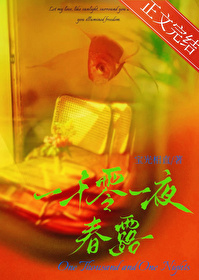 ����С˵:һǧ��һҹ��¶