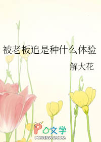 ����С˵:���ϰ�׷����ʲô����