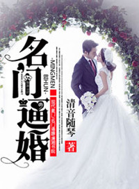 ����С˵:���űƻ�