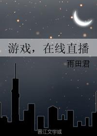 ����С˵:��Ϸ,����ֱ�� ���+����