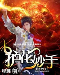 ����С˵:��������