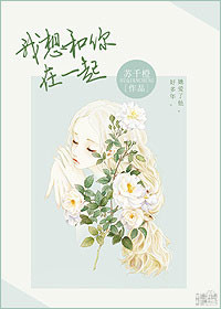 ����С˵:���������һ��