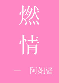 ����С˵:ȼ��