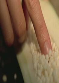 ����С˵:��