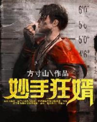 ����С˵:���ֿ���