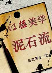 ����С˵:��¥��ѧ��ʯ�� �������