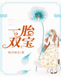 ����С˵:һ̥˫��