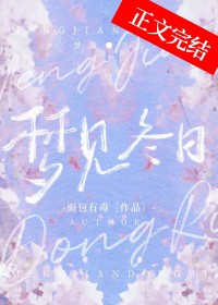 ����С˵:�μ�����