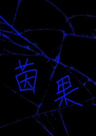 ����С˵:�����np��