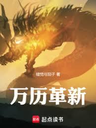 ����С˵:��������