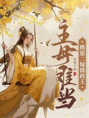 ����С˵:���޶���������̫������