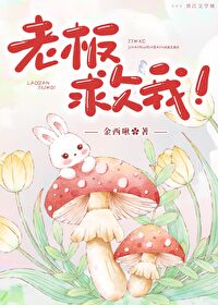 ����С˵:�ϰ���ң�