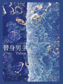 ����С˵:��������