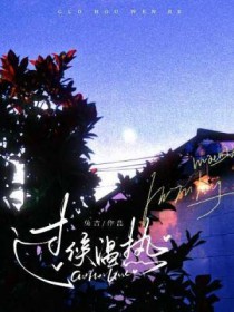 ����С˵:��������