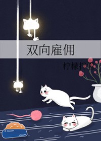 ����С˵:˫���Ӷ