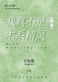 ����С˵:���治��ľϵ����