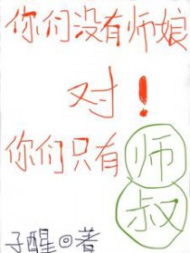 ����С˵:����û��ʦ��ԣ�����ֻ��ʦ��