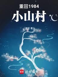 С˵:ػ1984Сɽ
