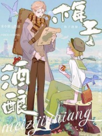 ����С˵:÷�Ӿ���