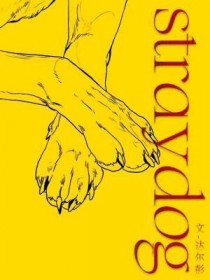 ����С˵:straydog