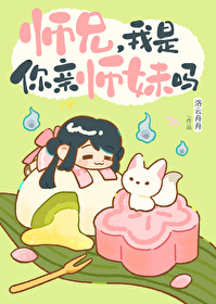 ����С˵:ʦ�֣���������ʦ����