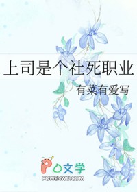 ����С˵:��˾�Ǹ�����ְҵ