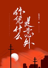 ����С˵:��ƾʲô������