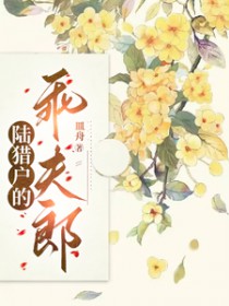 ����С˵:½�Ի��ĹԷ���