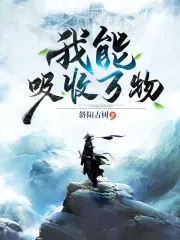 ����С˵:������������