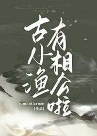 ����С˵:��С�����๫��