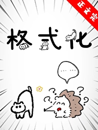 ����С˵:��ʽ��