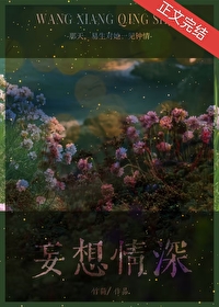 ����С˵:��������