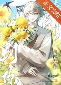 ����С˵:Bking������׷�޻��᳡��