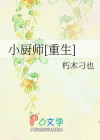 ����С˵:С��ʦ[����]