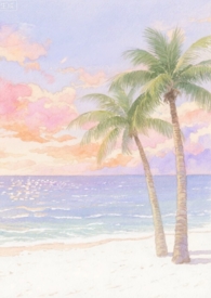 ����С˵:���հ�� (H)