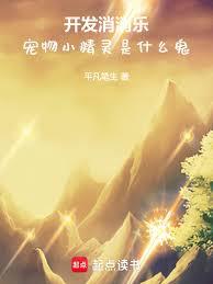 ����С˵:���������֣�����С������ʲô��