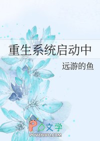 ����С˵:����ϵͳ������