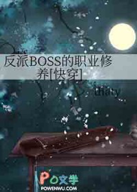 ����С˵:����BOSS��ְҵ����[�촩]