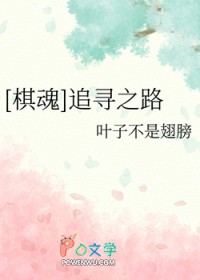 ����С˵:[���] ׷Ѱ֮·